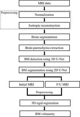 Deep Learning-Based Computer-Aided Detection System for Automated Treatment Response Assessment of Brain Metastases on 3D MRI